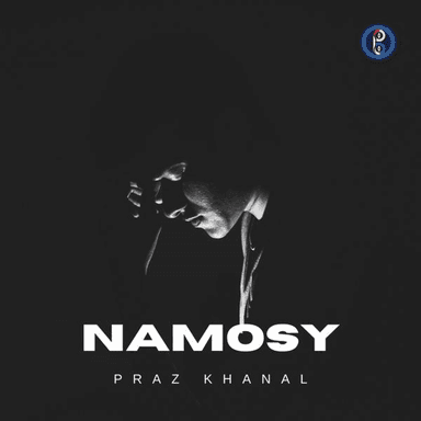 Namosy | Amapiano Music cover image