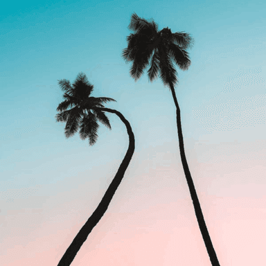 Satheem | Dancehall Music cover image