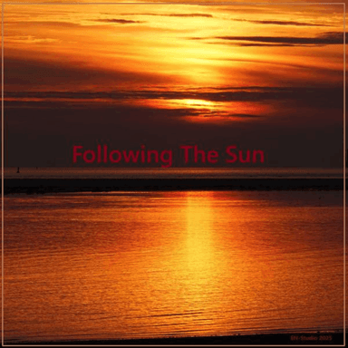Following The Sun cover image