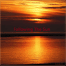 Following The Sun thumbnail