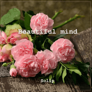 Beautiful mind cover image