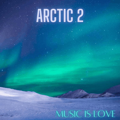 Arctic 2 cover image