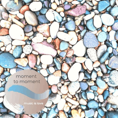 Moment to Moment cover image