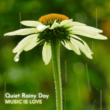 Quiet Rainy Day cover image