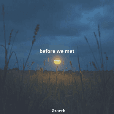 before we met cover image