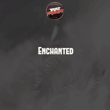 Enchanted cover image