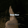 Deep Maor thumbnail