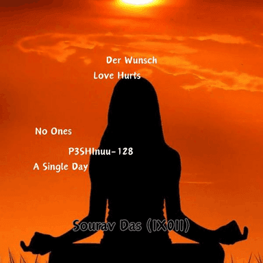 Der Wunsch cover image