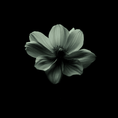 Hidden Letter cover image