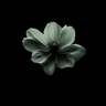 Hidden Letter thumbnail